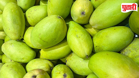 Raw Mango