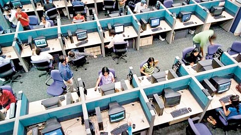 IT sector