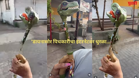 dinosaur pichkari
