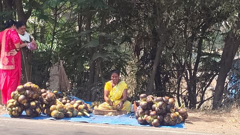 Tadgola fruit