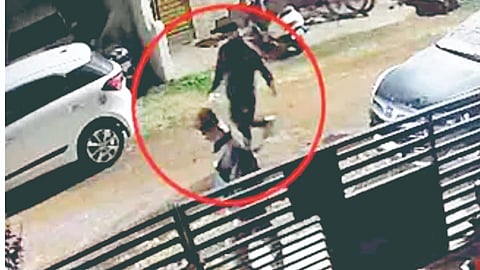 Petrol Theft News