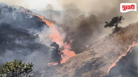 Forest Fires