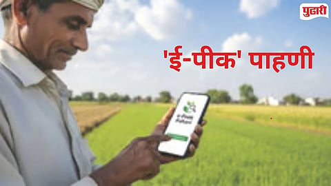 E-Pik Pahani
