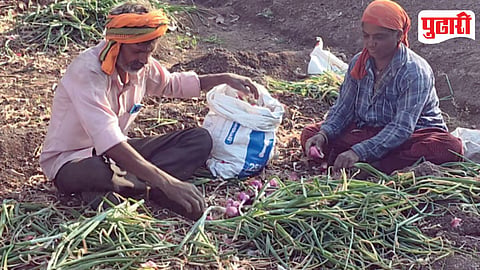 Unseasonal Rain Impact Farmers