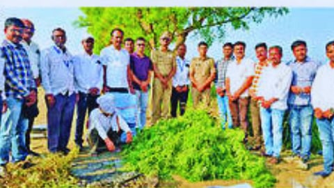 latur news
