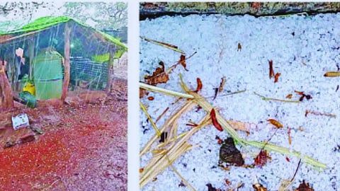 Unseasonal Rains