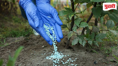 Fertilizer