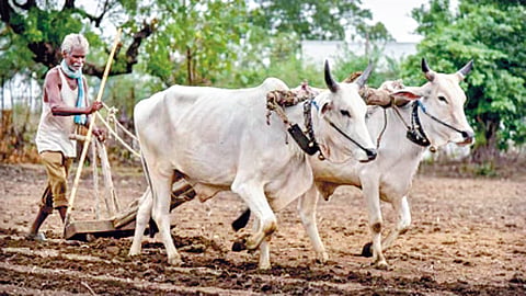 Farmers crisis