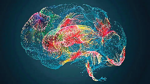 Cellular Aging Study |