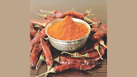 chilli price hike
