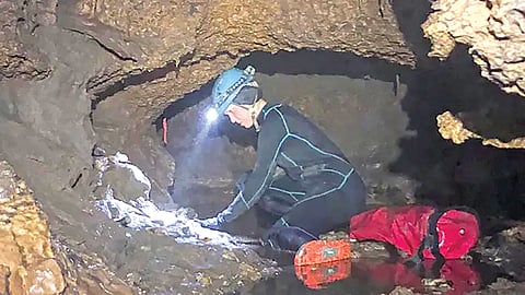 Giant Prehistoric animals remains |