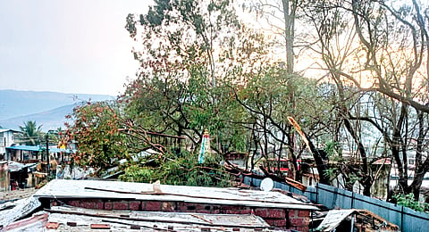 Jawali Rain