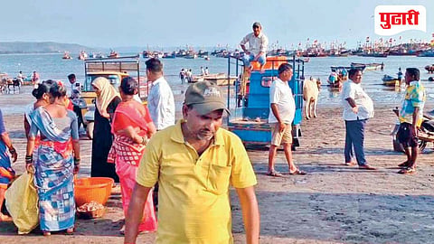 Dapoli Fishing Industry Crisis