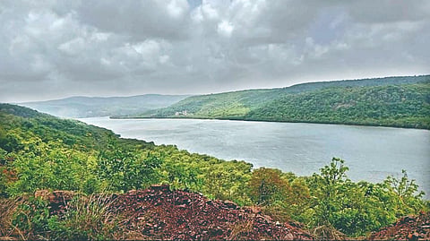 Savitri river