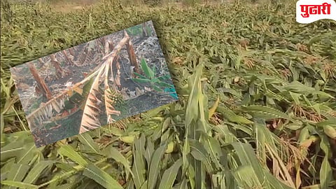 unseasonal rain maharashtra | अवकाळी पावसामुळे राज्यातील २९ जिल्ह्यांत 2 लाख हेक्टरवरील पिकांना फटका