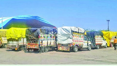 hingoli news