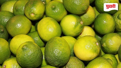 Lemon