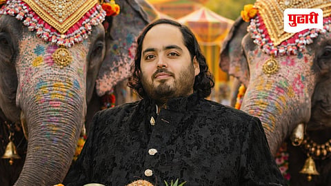 Anant Ambani Net Worth
