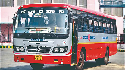 bus