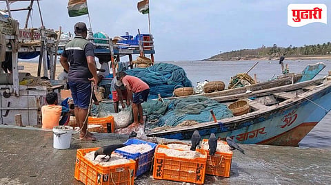 Sindhudurg News | डिझेल भडकले; मच्छीमार संस्था अडचणीत