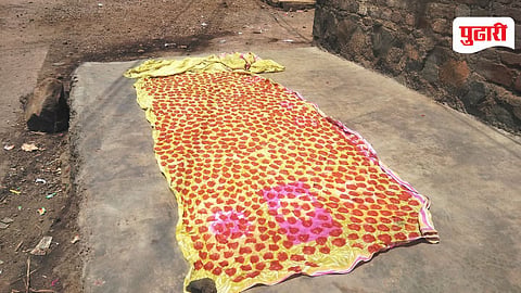 Palghar News