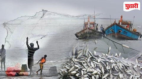 Ratnagiri LED fishing news | 'एलईडी' मासेमारीविरोधात मच्छीमारांचा एल्गार
