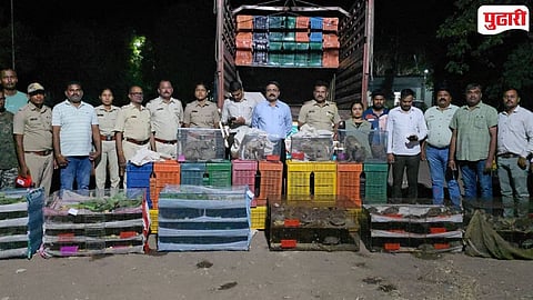 Nandurbar animal bird smuggling