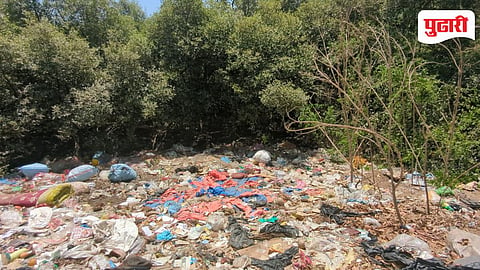 Illegal Dumping