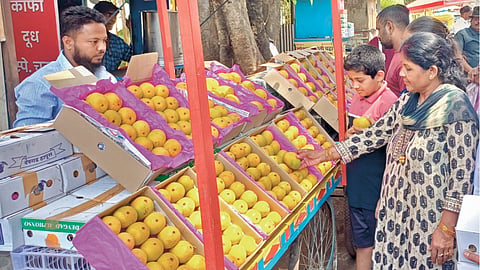 Ratnagiri Devgad Hapus |