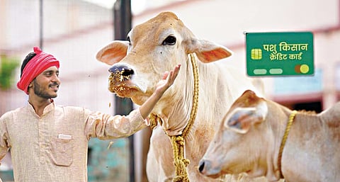Kisan Credit Card