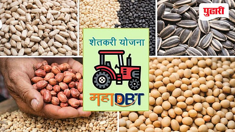 महा डीबीटीतून खरीप बी-बियाणे अनुदान; अर्ज प्रक्रिया सुरू