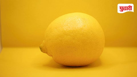 Lemon Price Hike