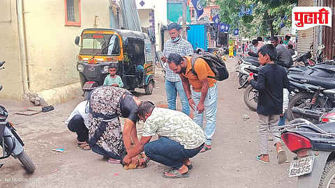 Pimpri Chinchwad Stray Dogs Health