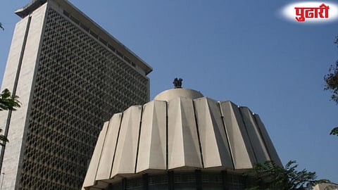 MLC
