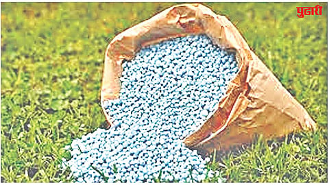 Fertilizer availability