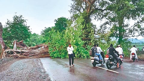 Satara rain: वादळी पावसामुळे ठिकठिकाणी पडझड