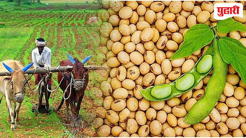 Nanded farmer news