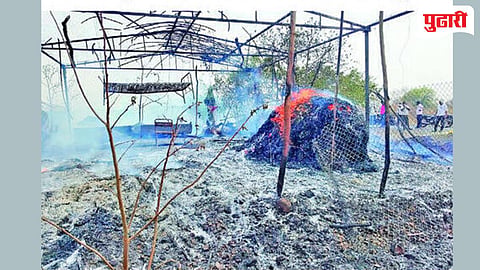 गोठ्याला आग लागून ७ जनावरे भस्मसात