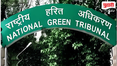 Goa NGT Order