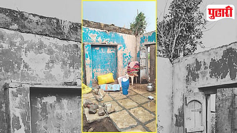 Maharashtra Unseasonal Rain Crop Damage