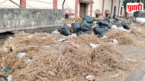 Pune Mango Festival Waste
