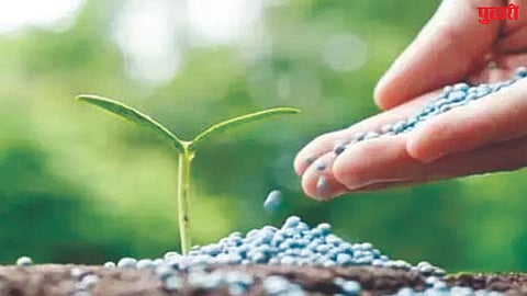 Fake seeds action