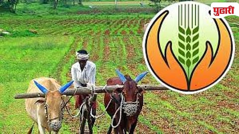 Crop Insurance