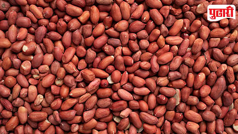 Peanut