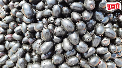 Jamun