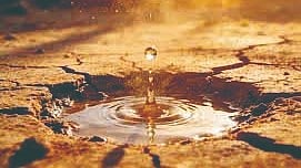 Low rainfall forecast |