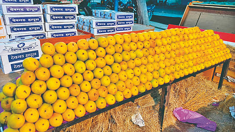 Hapus Mango