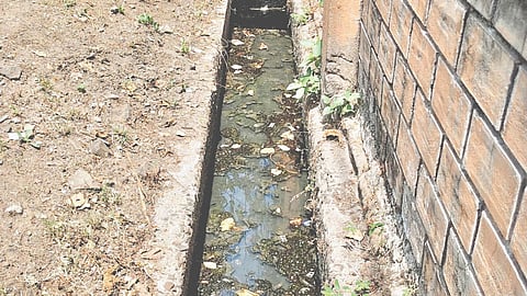 Drainage Cleaning