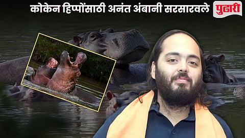 Anant Ambani save cocaine hippos