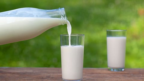 milk